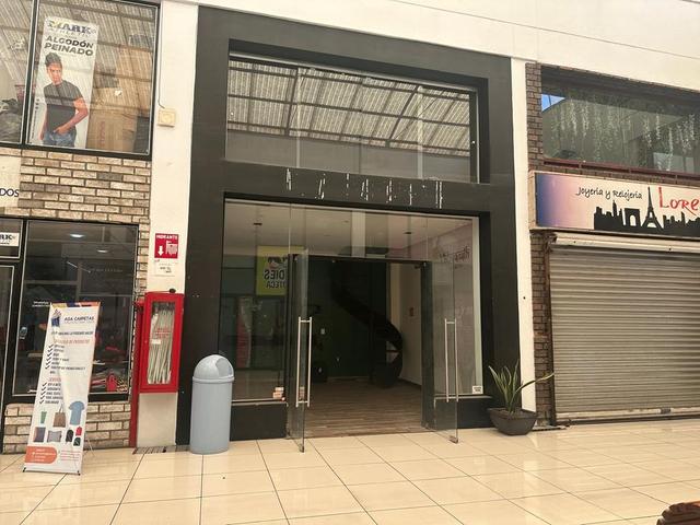 Foto de la galeria de imagenes